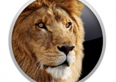 Skinning a Cat: Lots of Ways to Deploy Lion